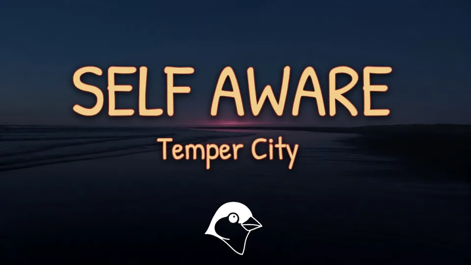 Self Aware Lyrics: Exploring the Meaning Behind Temper City's Song